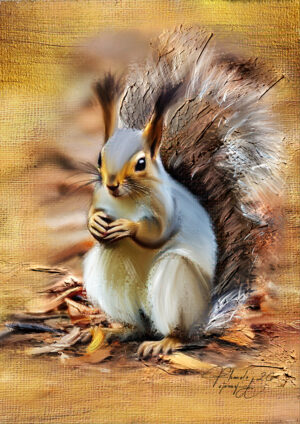 Squirell